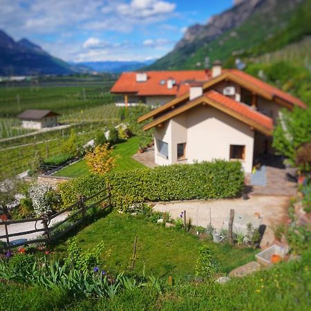 살로노 Agritur Zuveith 아파트 외부 사진
