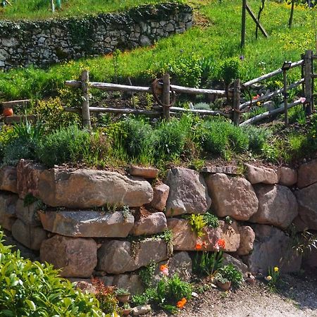 살로노 Agritur Zuveith 아파트 외부 사진